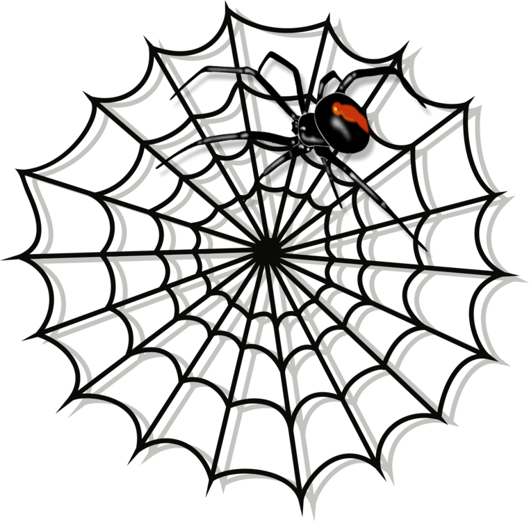 Line Art,Spider Web,Symmetry