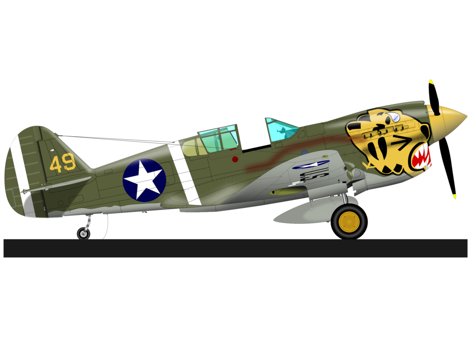 Fockewulf Fw 190,Flight,Curtiss P40 Warhawk