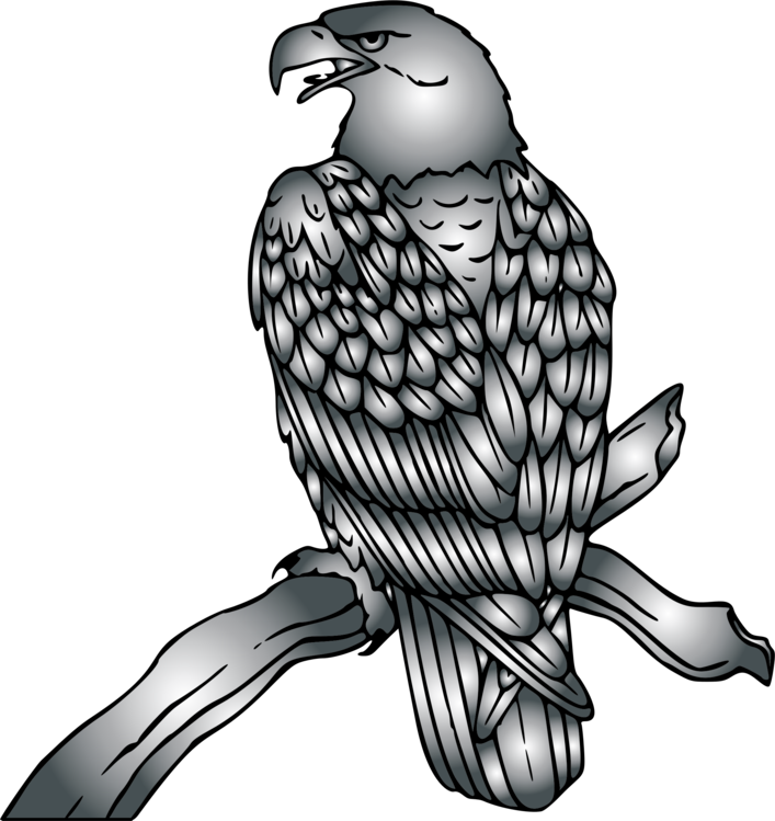 Line Art,Falconiformes,Bird