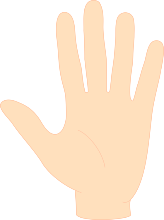 Thumb,Sign Language,Glove