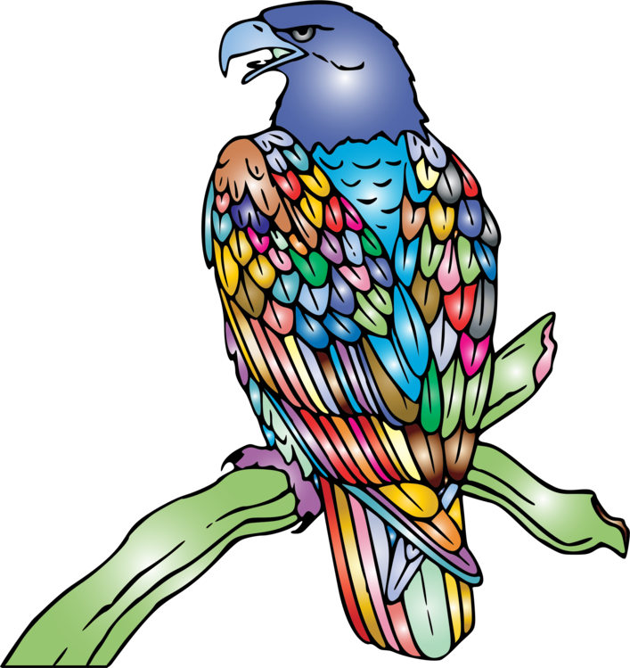 Falconiformes,Macaw,Parrot