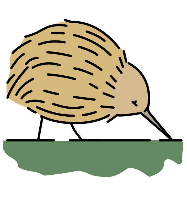 Kiwi,Bird,Coloring Book