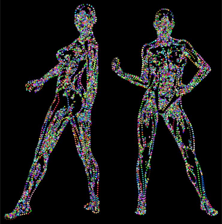 Joint,Human Body,Skeleton