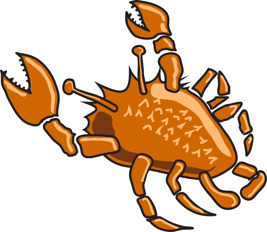 Seafood,Decapoda,Rock Crab