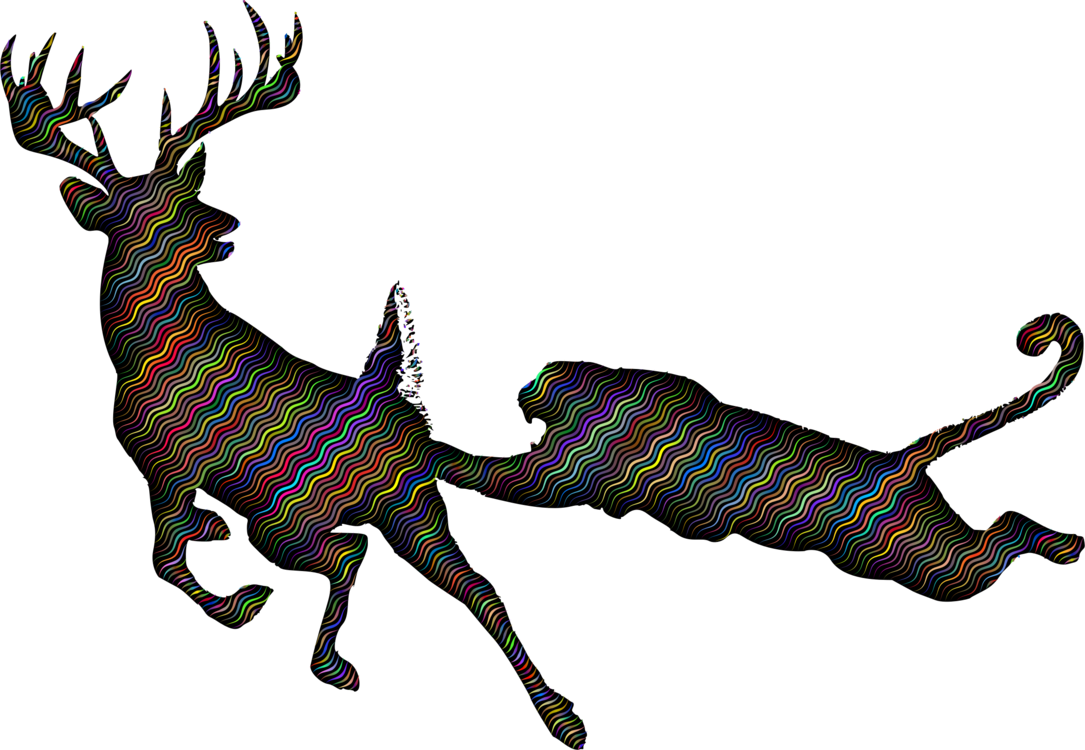 Reindeer,Deer,Whitetailed Deer