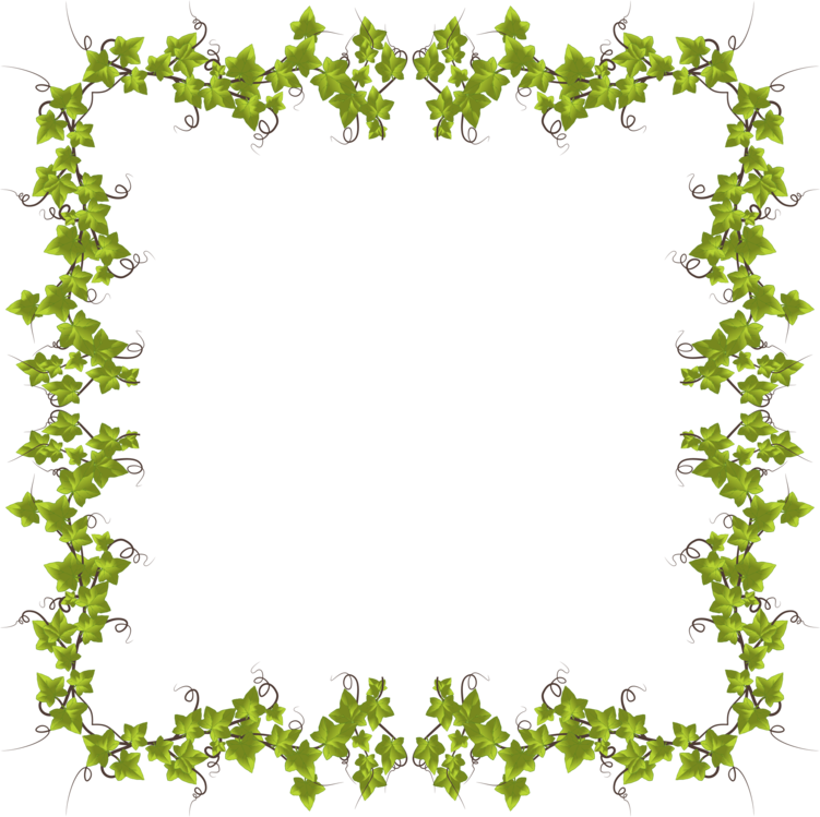 Picture Frame,Plant,Leaf