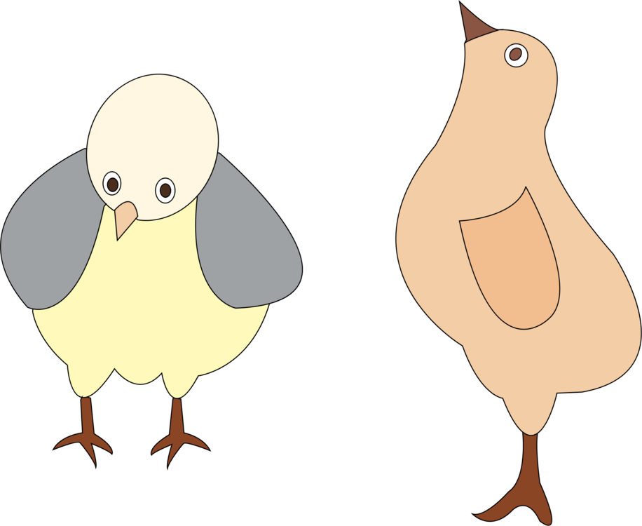 Parrot,Bird,Galliformes