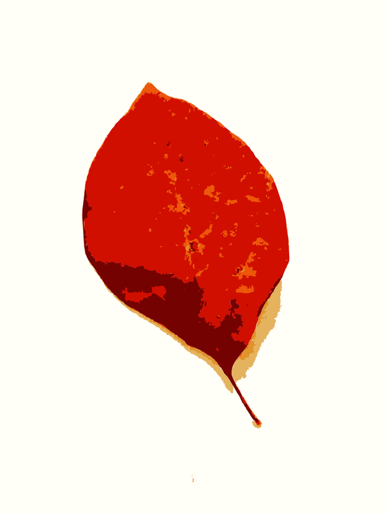 Red,Leaf,Tree