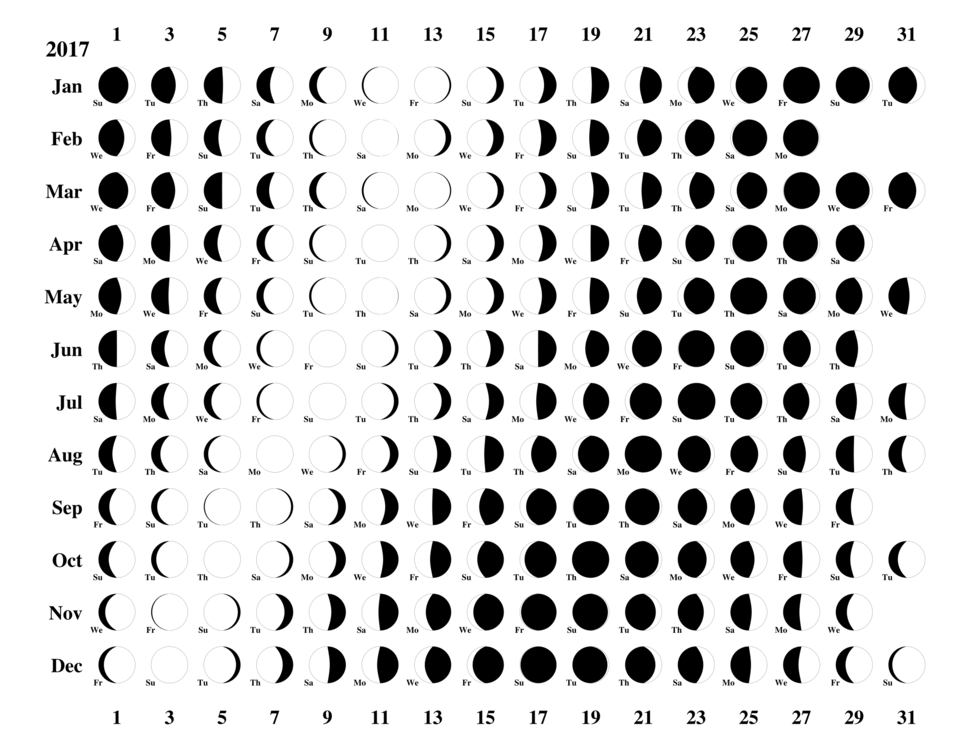 Line,Circle,Lunar Calendar