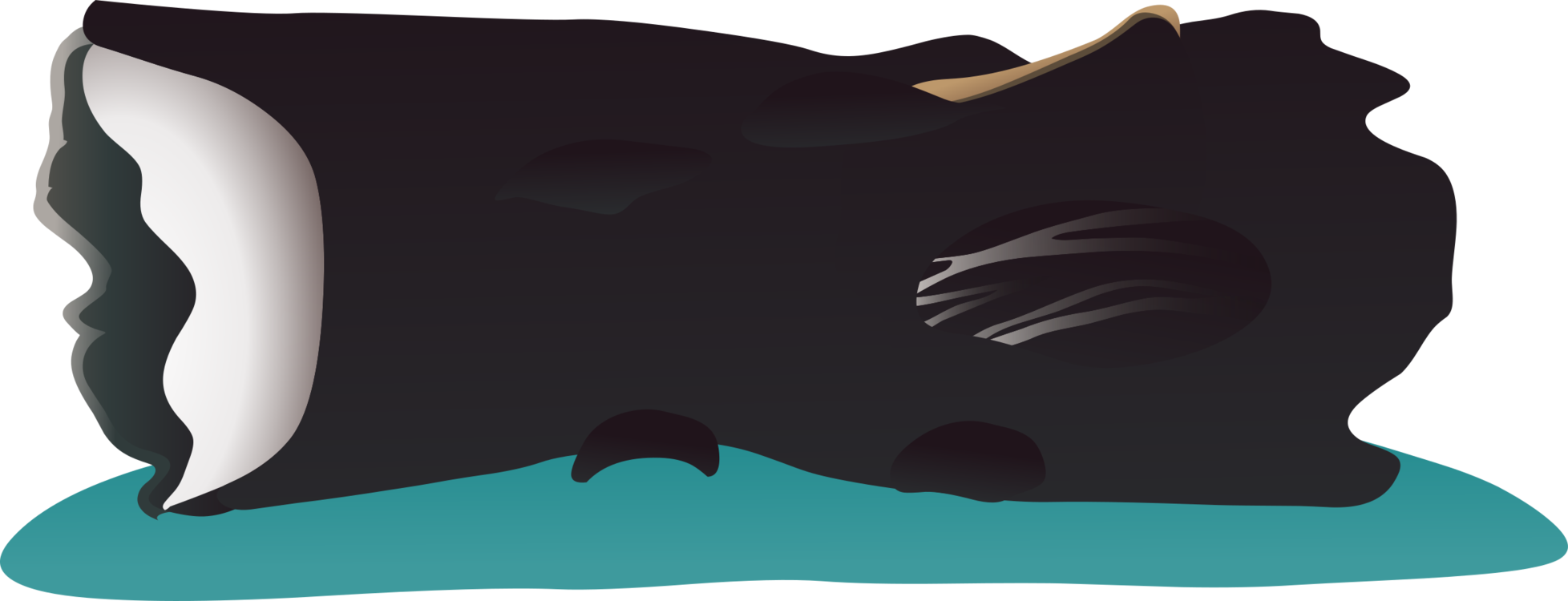 Manta Ray,Sperm Whale,Bowhead