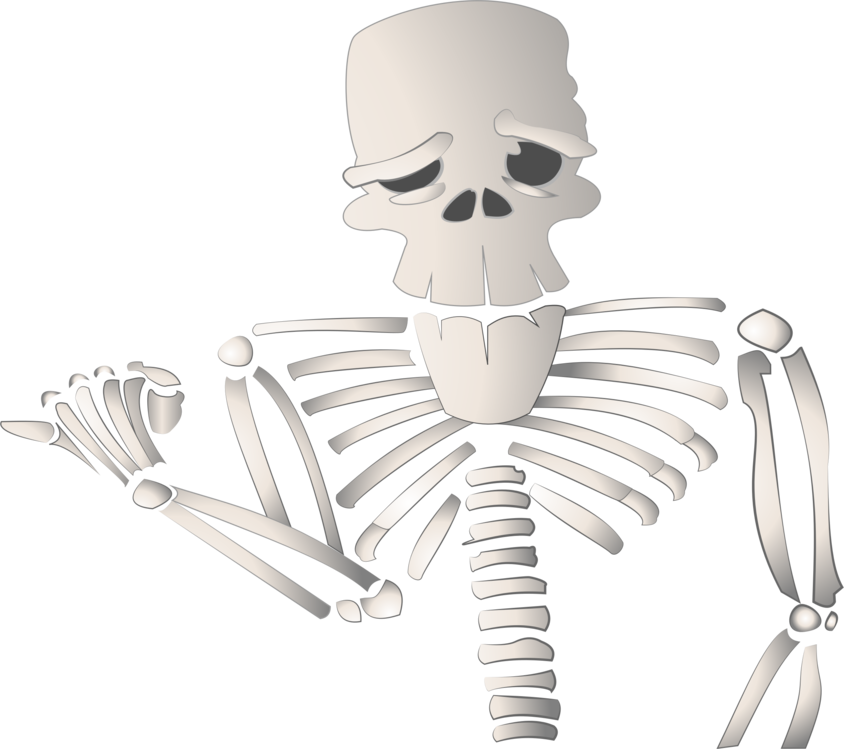 Skeleton,Bone,Cartoon