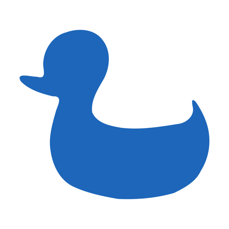 Swan,Water Bird,Livestock