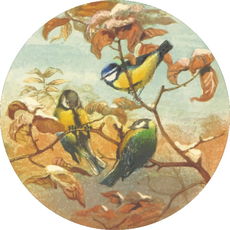 Perching Bird,Plate,Macaw