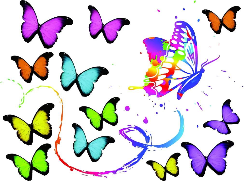 Download Butterfly,Cynthia Subgenus,Symmetry PNG Clipart - Royalty Free SVG / PNG