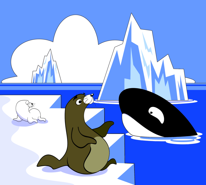 Bowhead,Cartoon,Marine Mammal