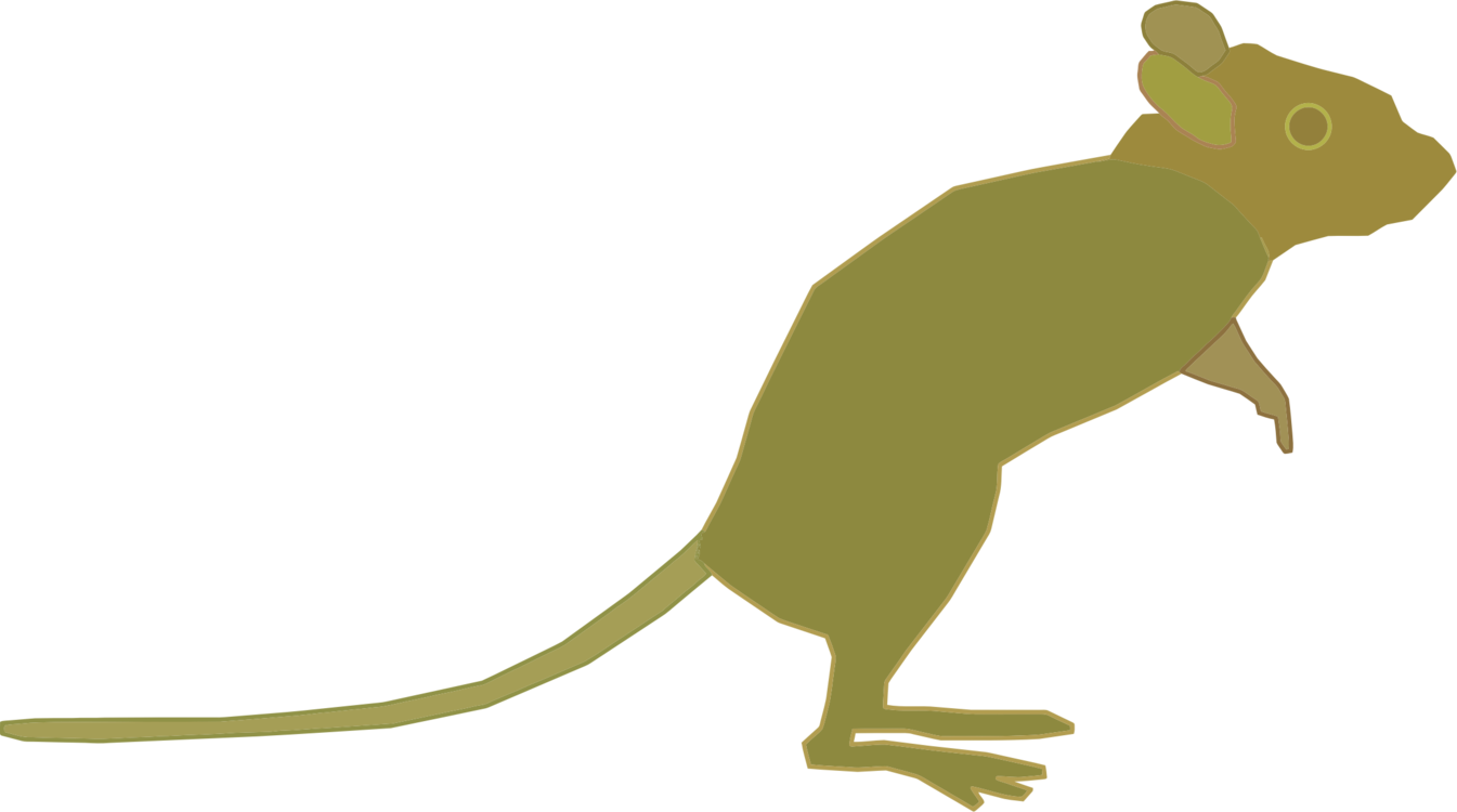 Muridae,Dinosaur,Kangaroo