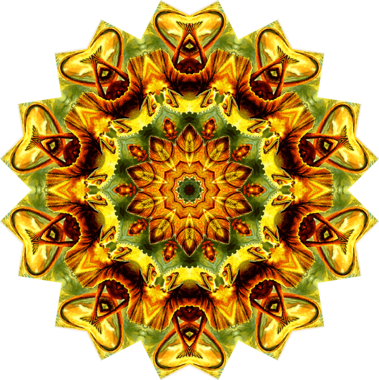 Art,Symmetry,Kaleidoscope