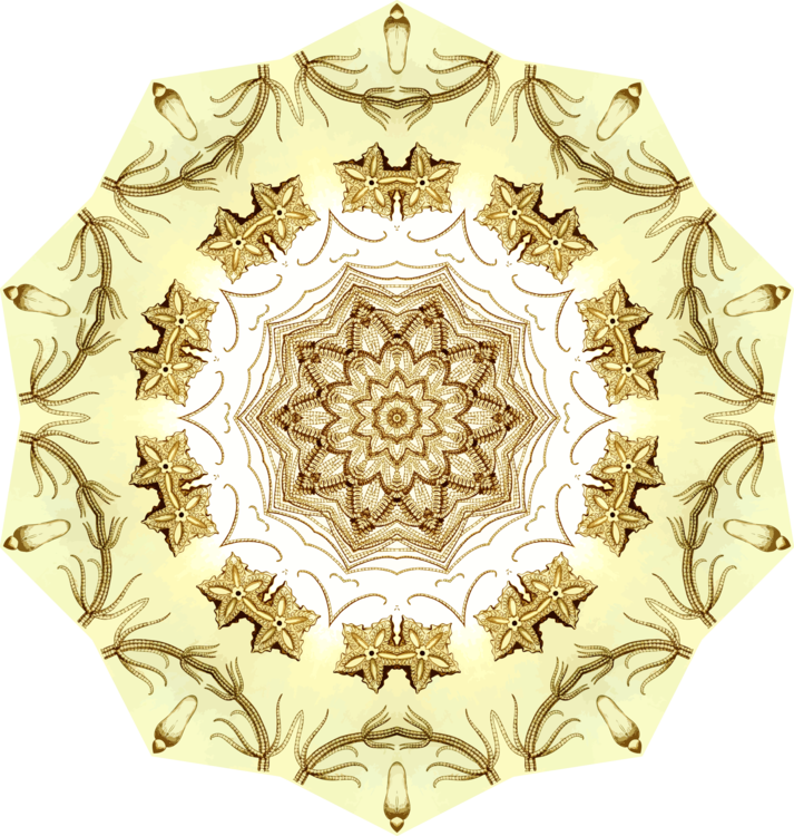 Symmetry,Kaleidoscope,Childproofing