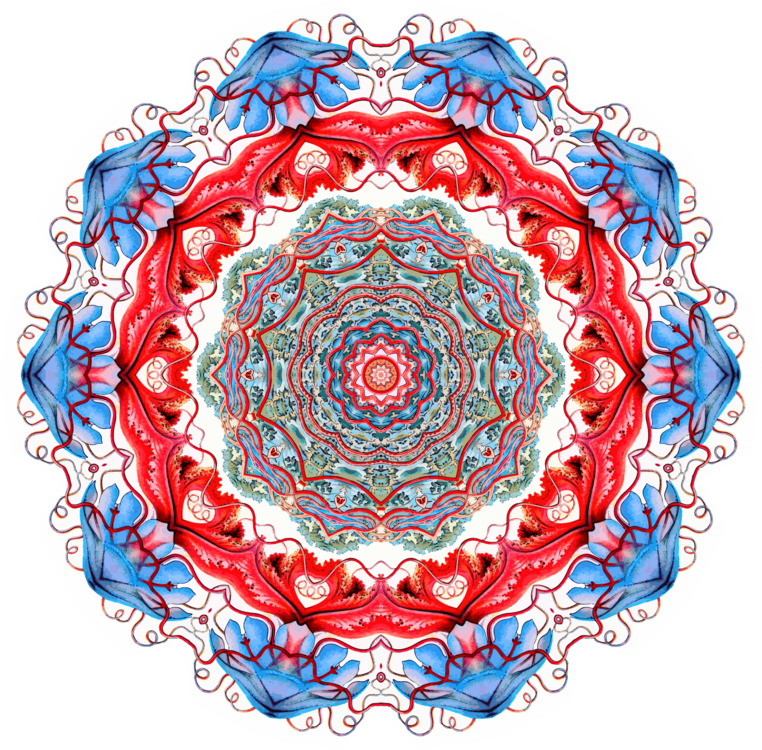 Symmetry,Ornament,Circle