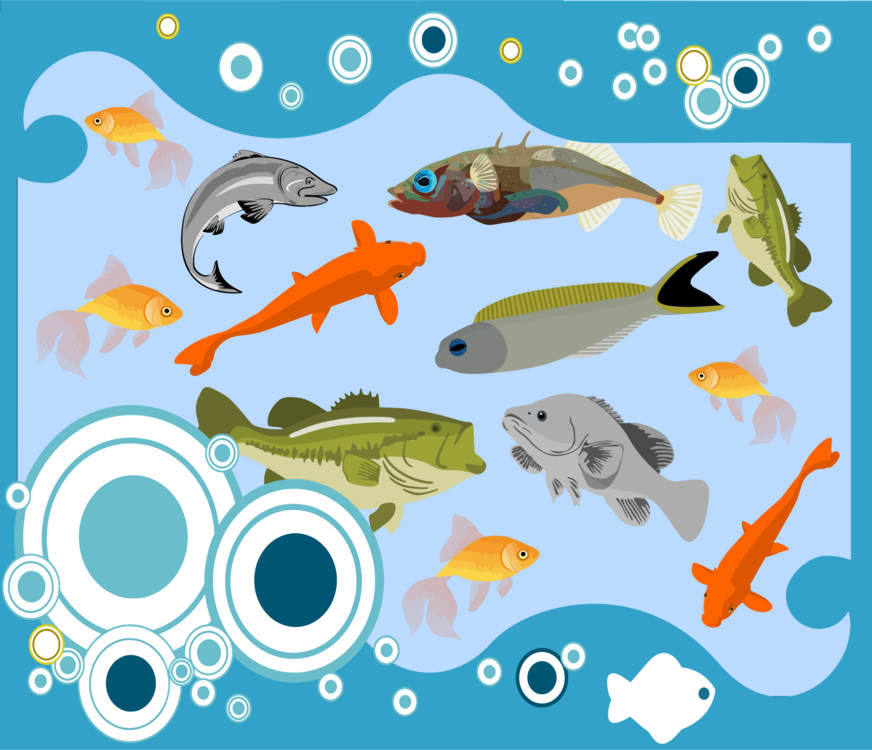 Marine Biology,Feeder Fish,Organism