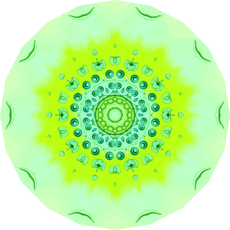 Circle,Dishware,Green
