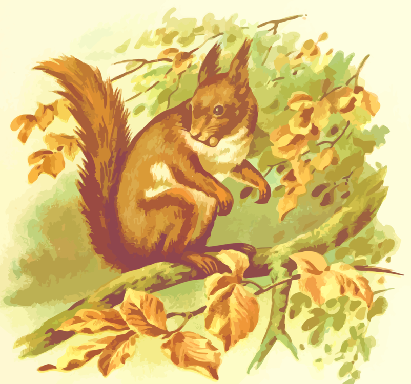 Plant,Art,Squirrel