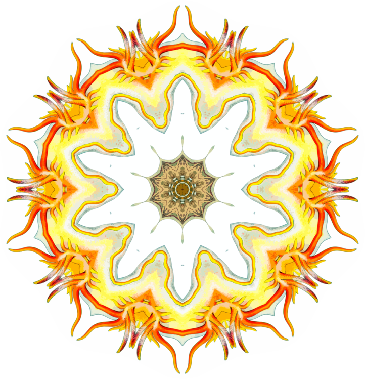 Symmetry,Yellow,Ornament