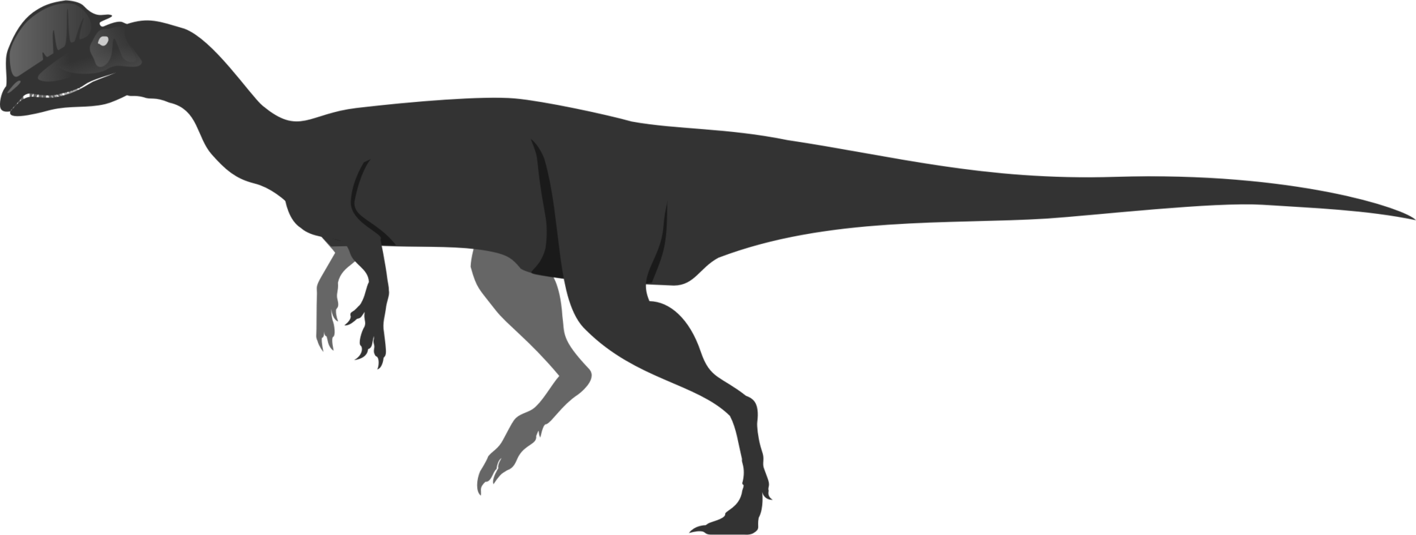 Dinosaur,Tail,Silhouette