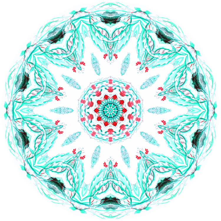 Turquoise,Symmetry,Aqua