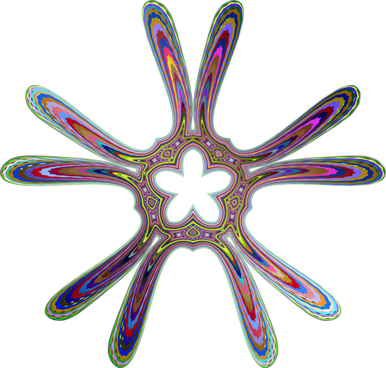 Echinoderm,Marine Invertebrates,Symmetry