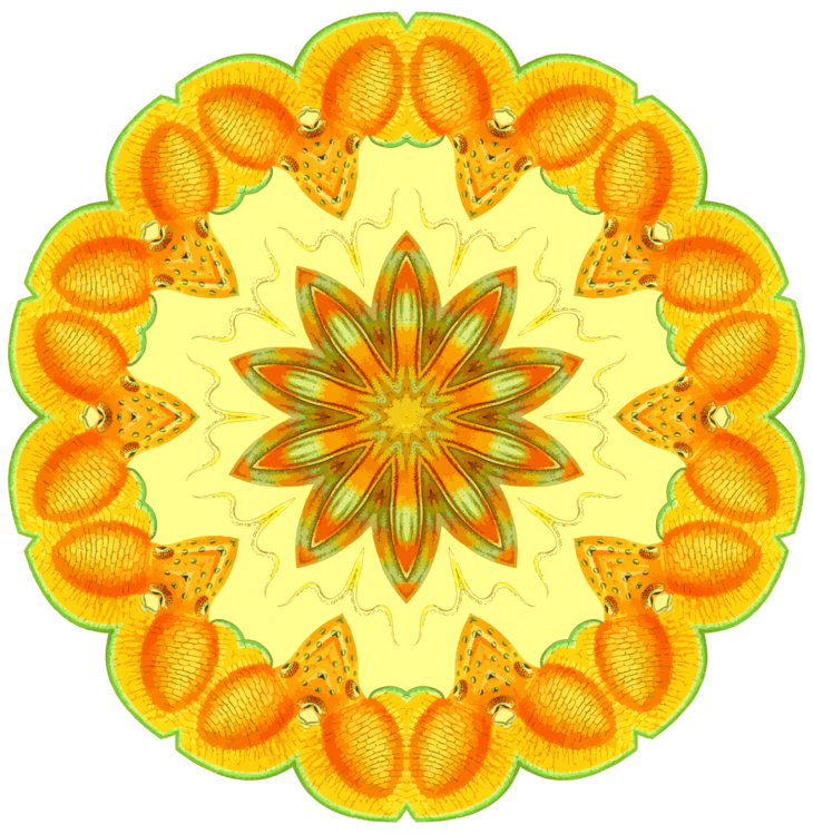 Orange,Symmetry,Yellow