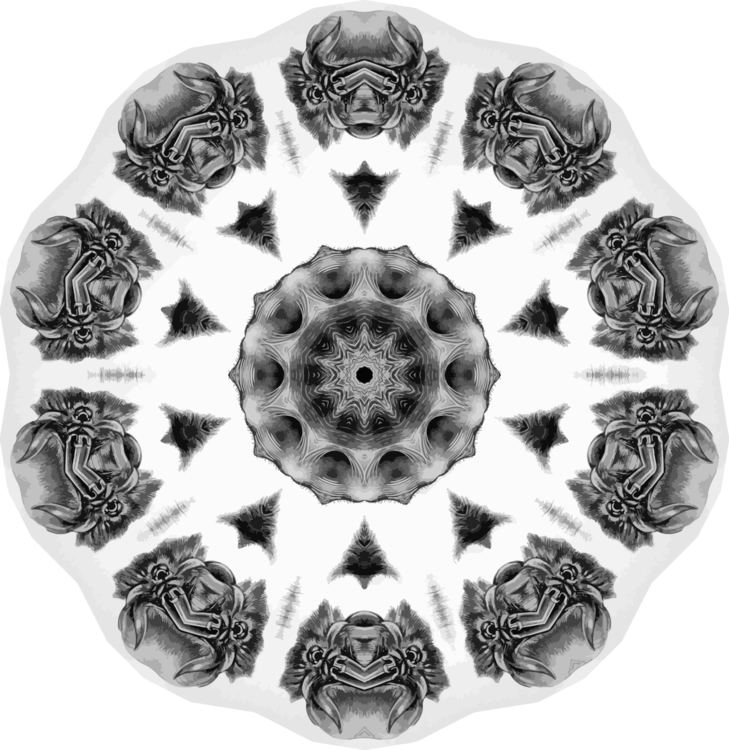 Blackandwhite,Symmetry,Kaleidoscope