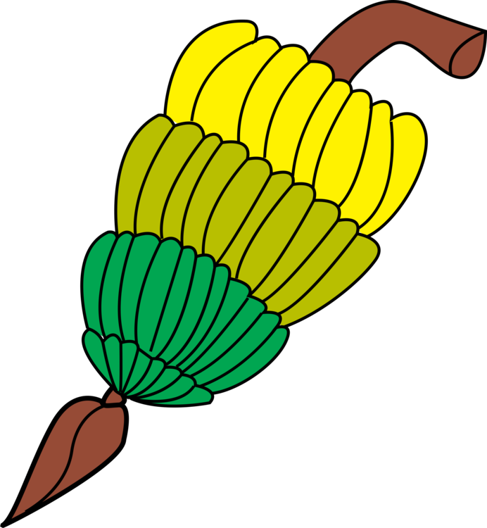 Plant,Leaf,Yellow