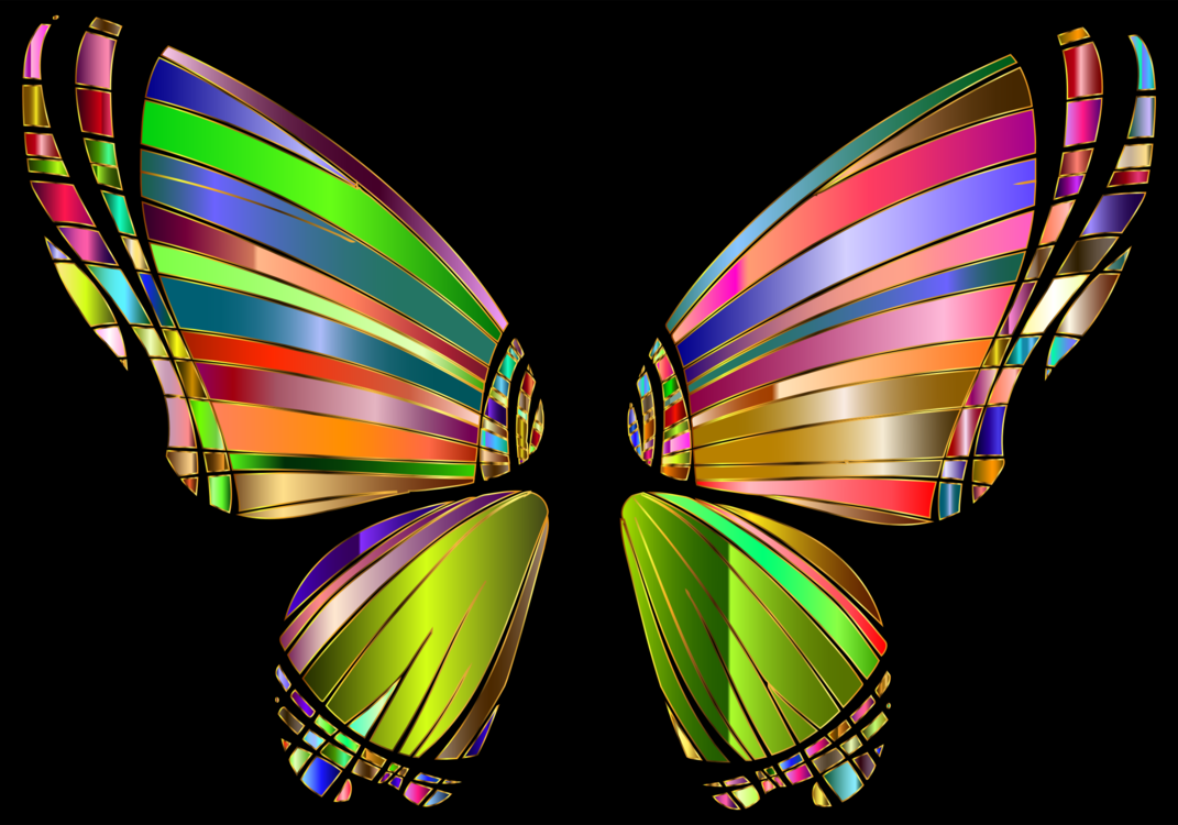 Butterfly,Emperor Moths,Symmetry