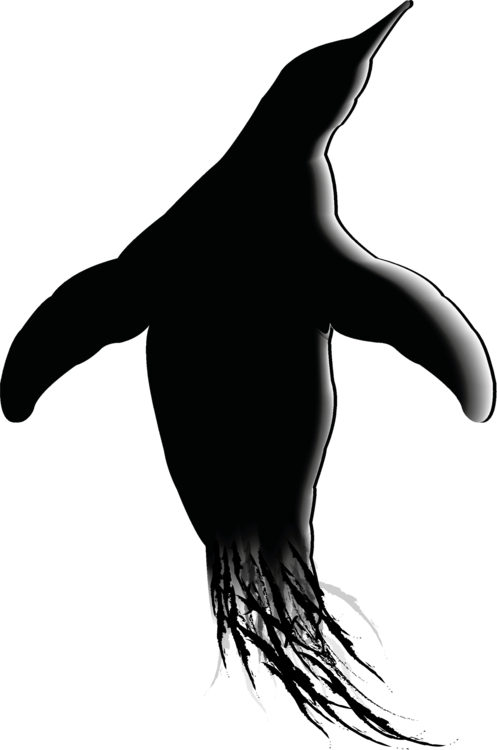 Flightless Bird,Blackandwhite,Bird