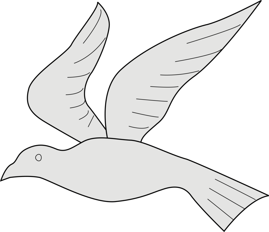 Line Art,Arctic Tern,Kite