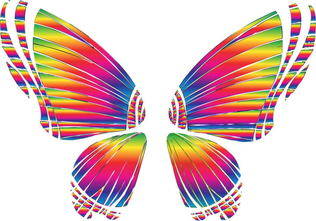 Butterfly,Symmetry,Graphic Design