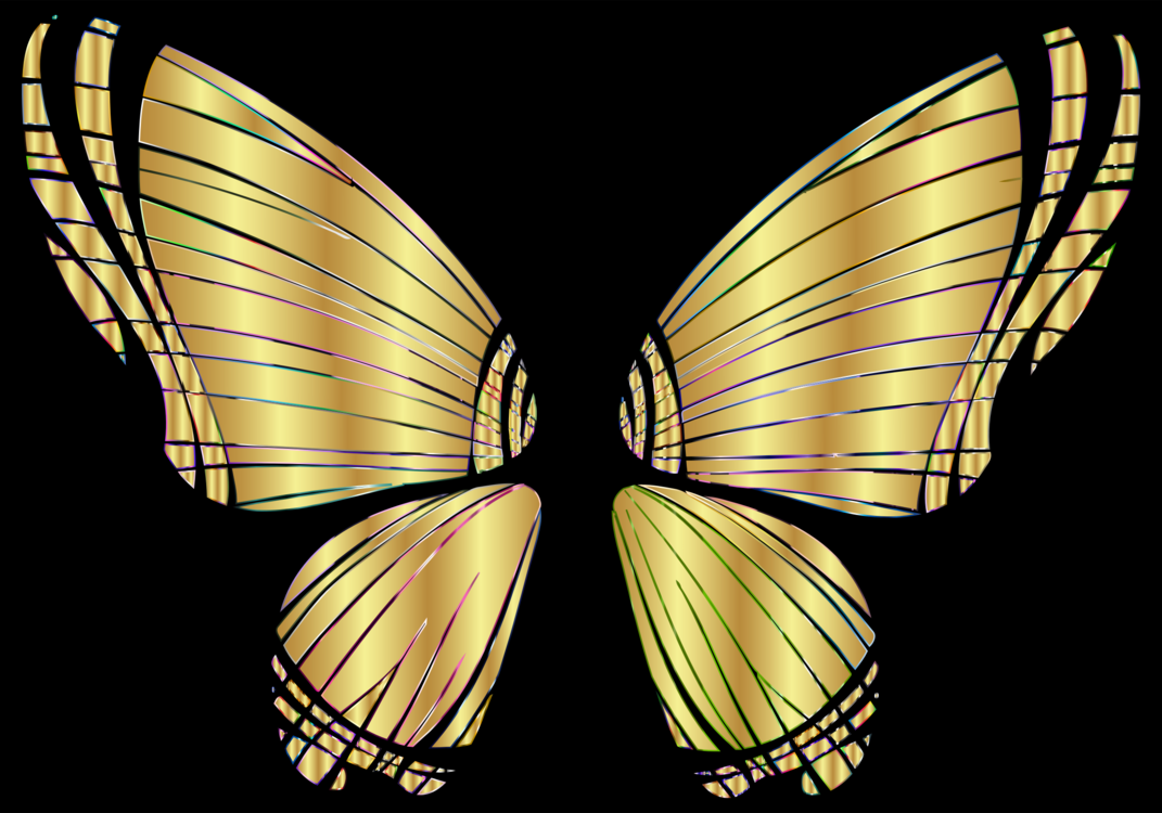 Butterfly,Wildlife,Symmetry