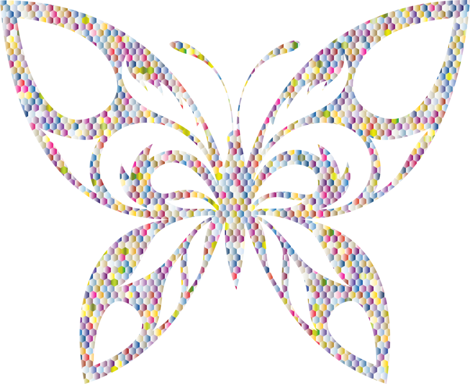 Line,Symmetry,Butterfly