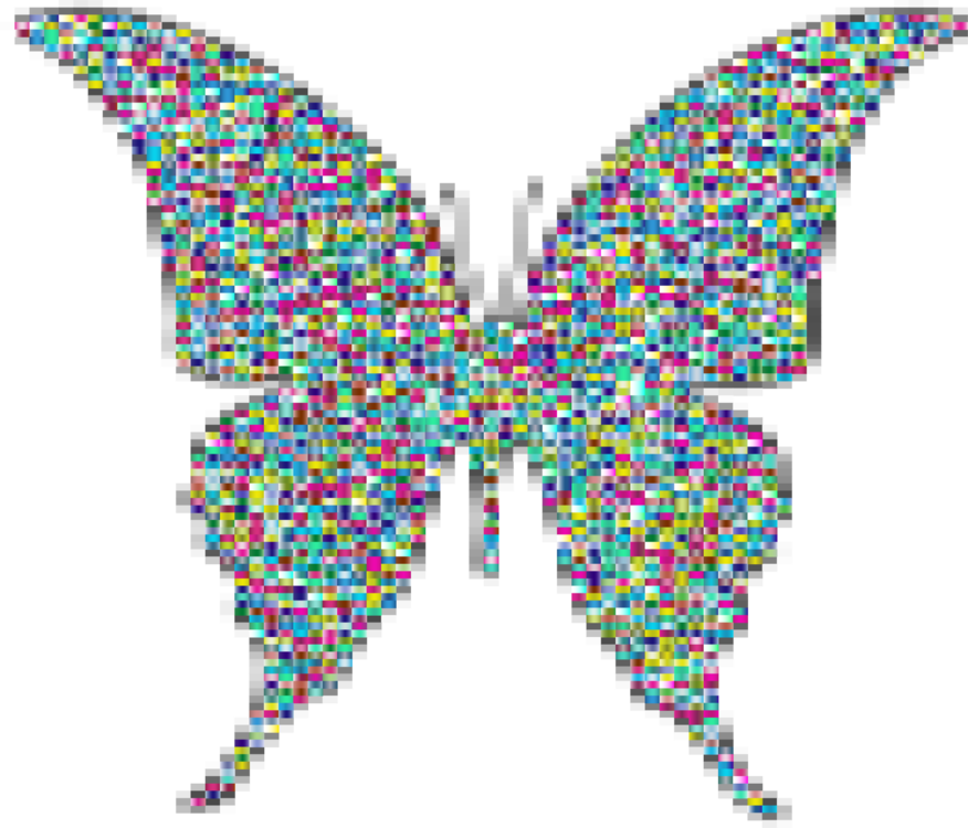 Butterfly,Animal Figure,Symmetry