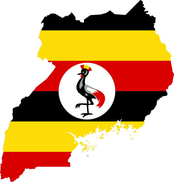 Bird,Beak,Logo