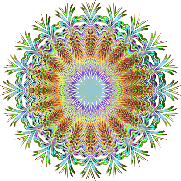 Plant,Symmetry,Circle