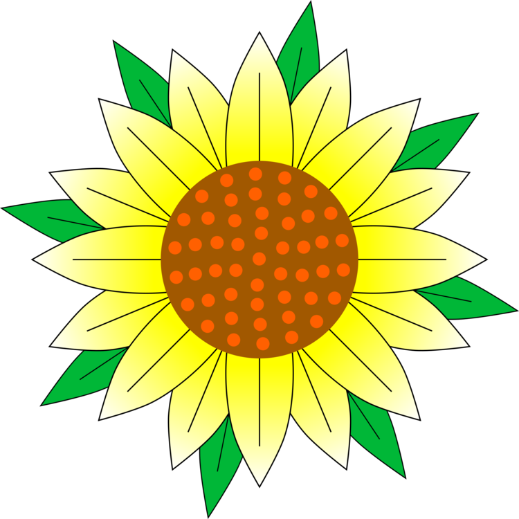 Plant,Flower,Sunflower