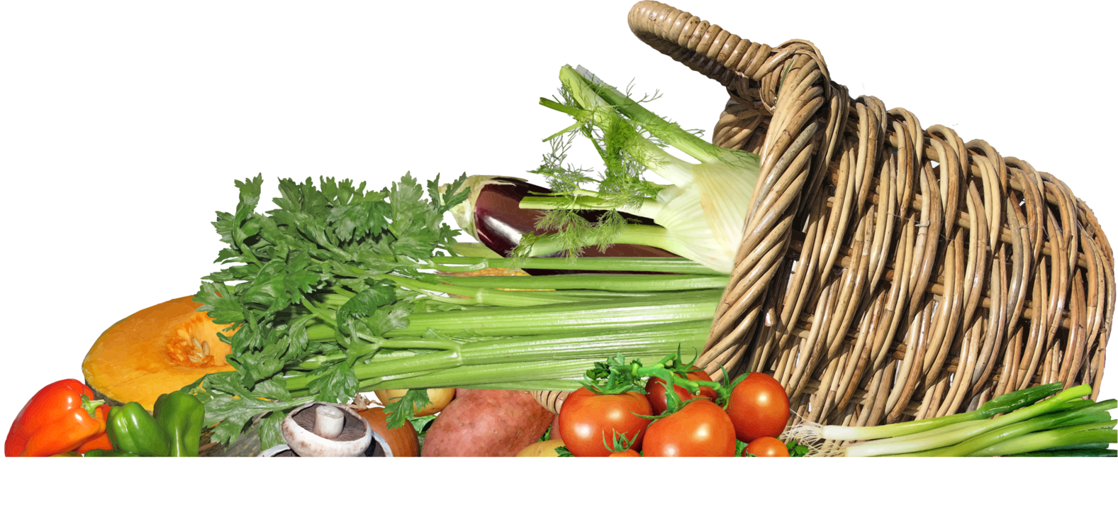 Ingredient,Plant,Vegetarian Food