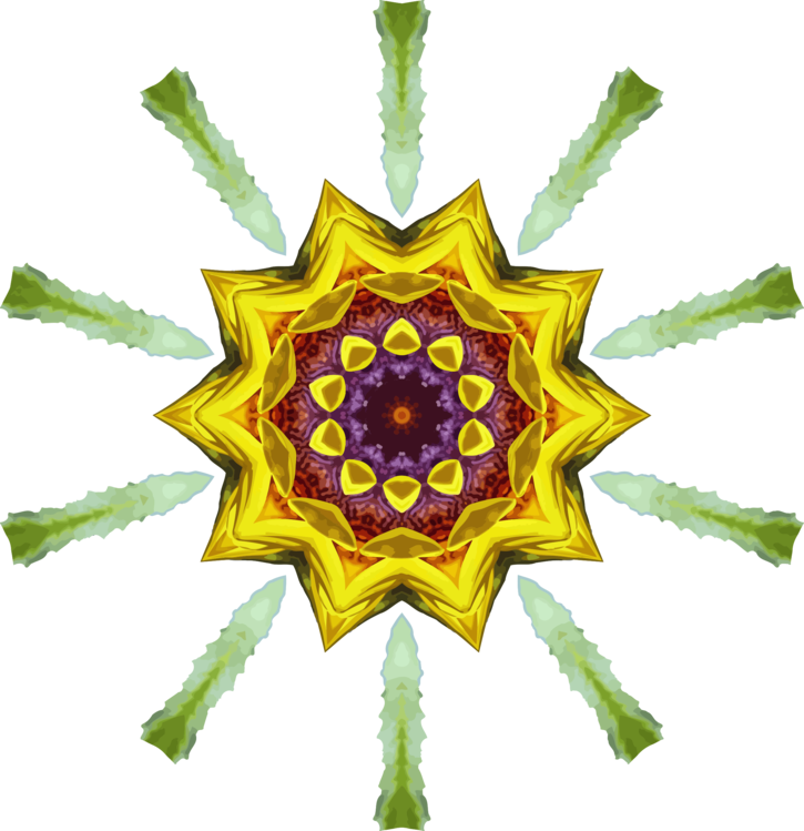 Plant,Symmetry,Yellow