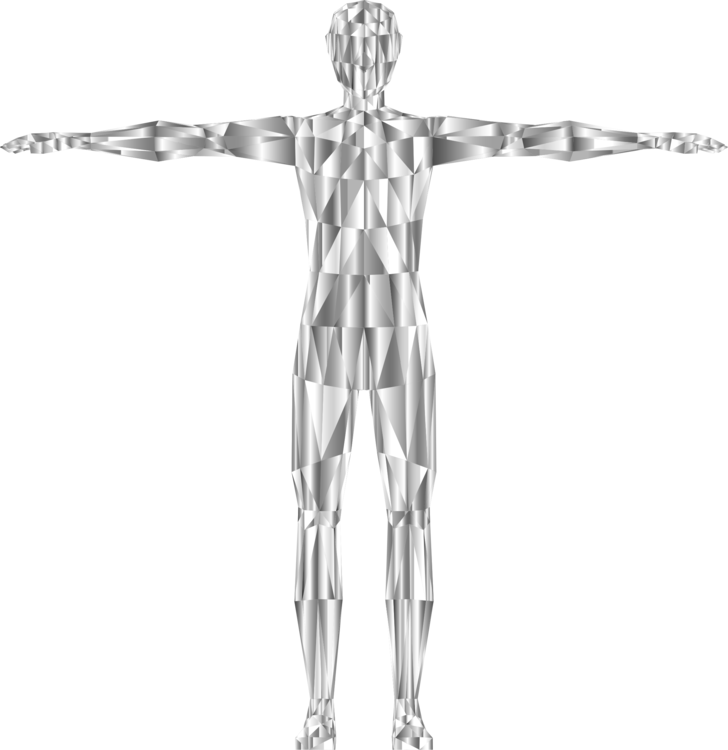 Shoulder,Standing,Human Body