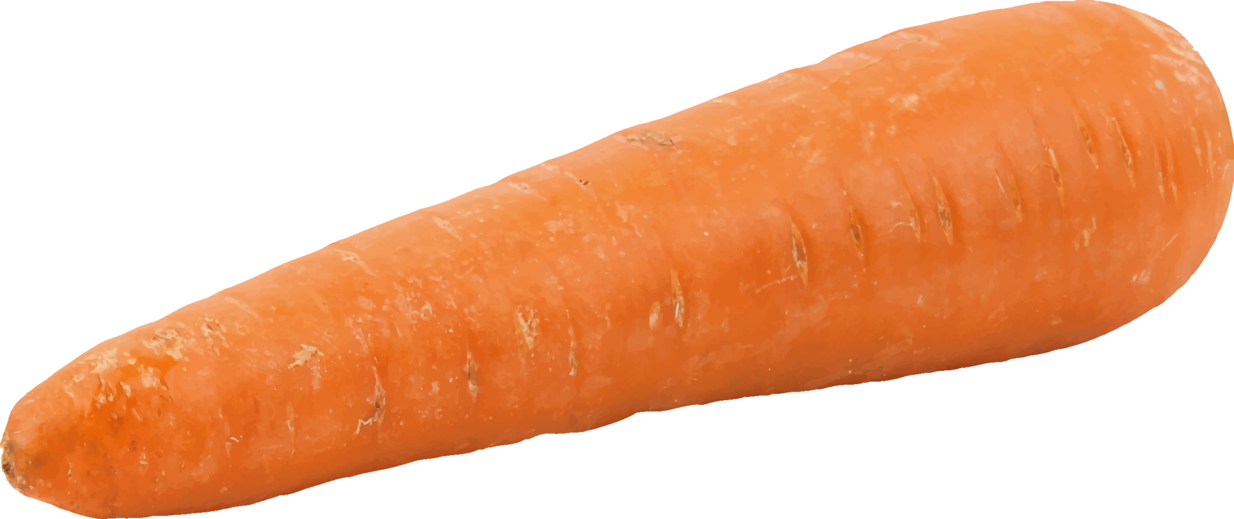 Orange,Wild Carrot,Carrot