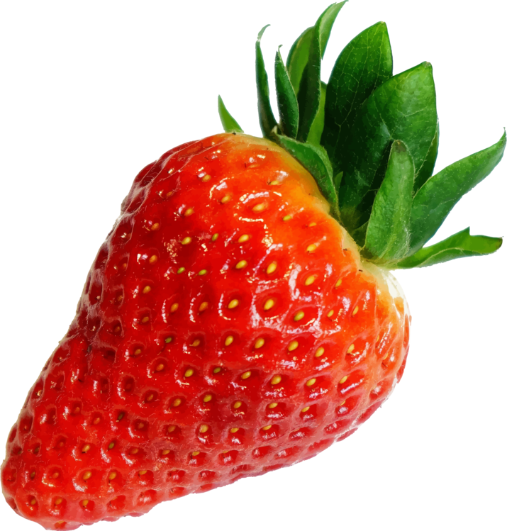 Alpine Strawberry,Plant,Vegan Nutrition
