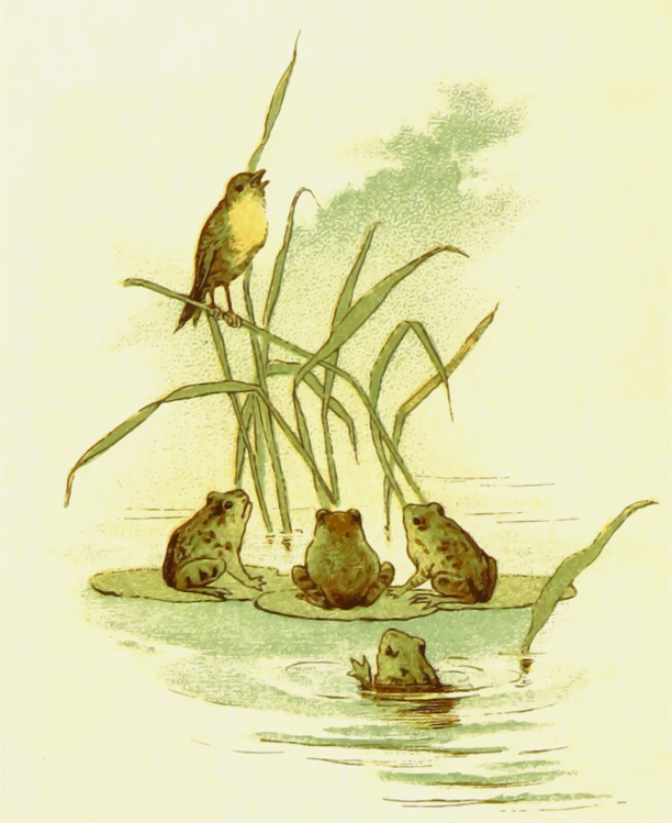 Perching Bird,Botany,Plant