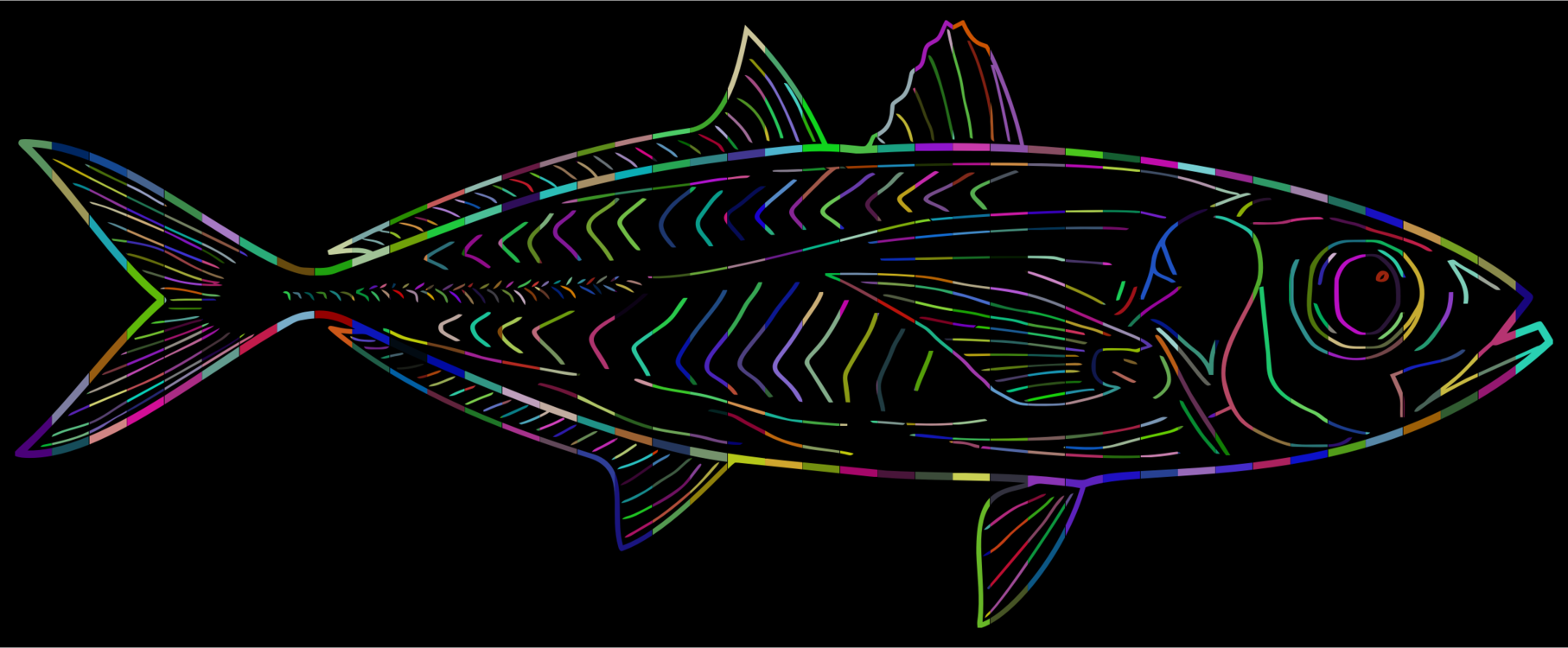 Fish,Line Art,Desktop Wallpaper